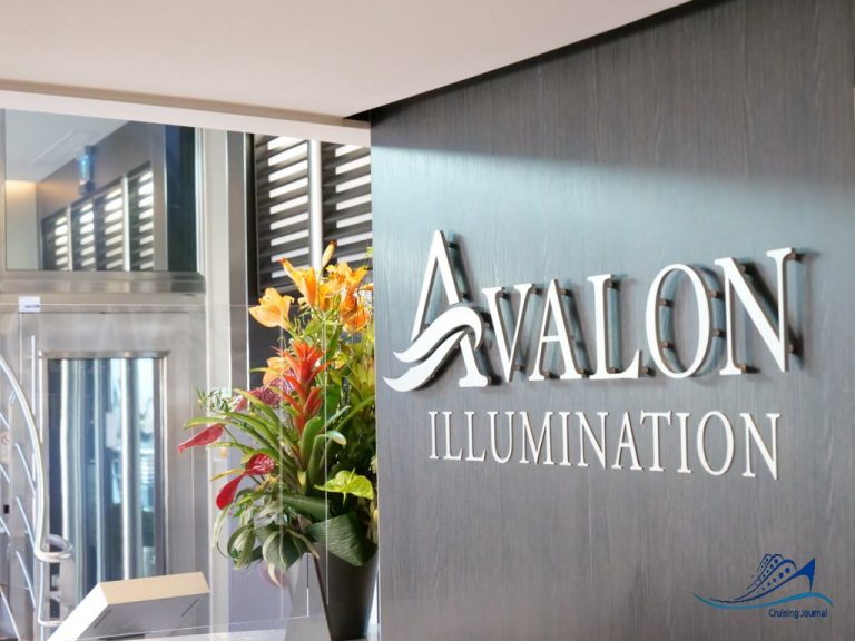 Avalon Illumination Reception