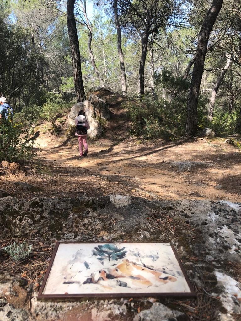 Scopri e cattura tutti i punti di vista di Cezanne con un fotografo