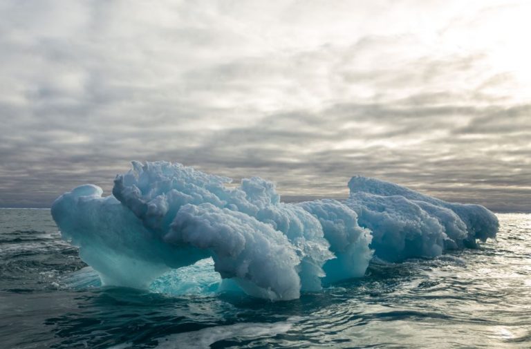 Hanseatic Nature - Iceberg