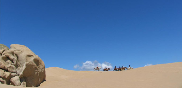 Horseback riding in Uruguay