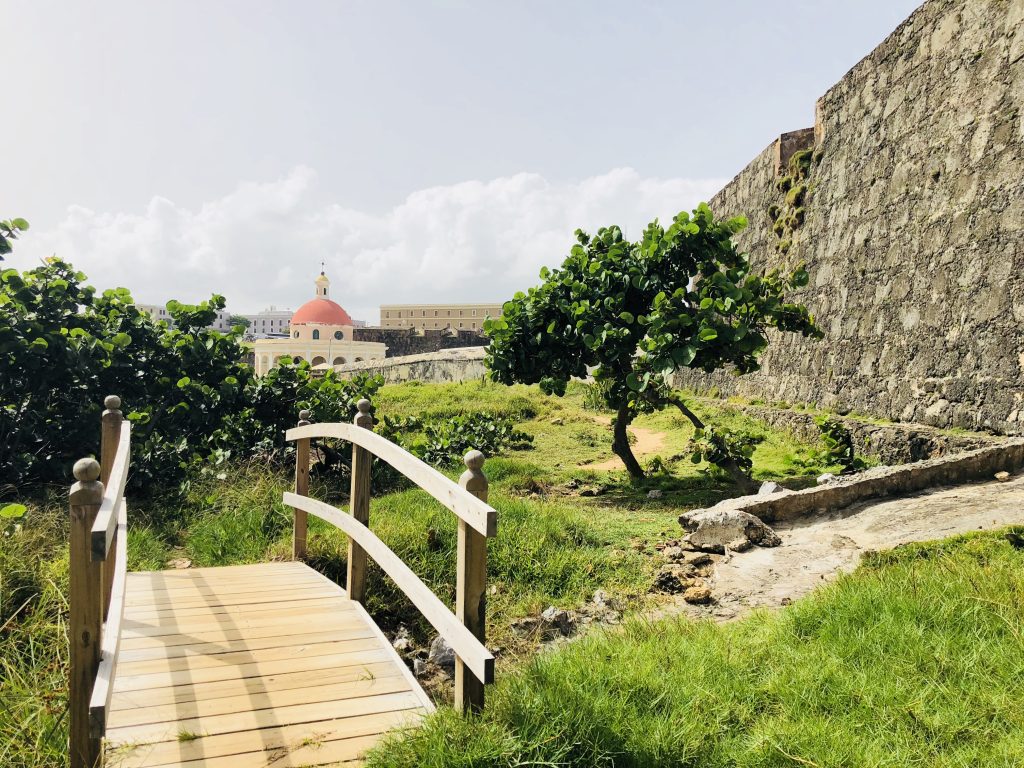 porto-rico-san-juan-die-hauptstadt-der-katzen