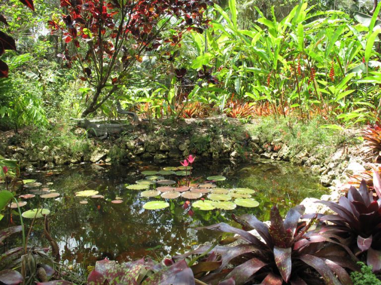 Grand Cayman BotanicPark