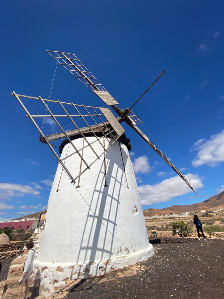 Fuerteventura Excursion