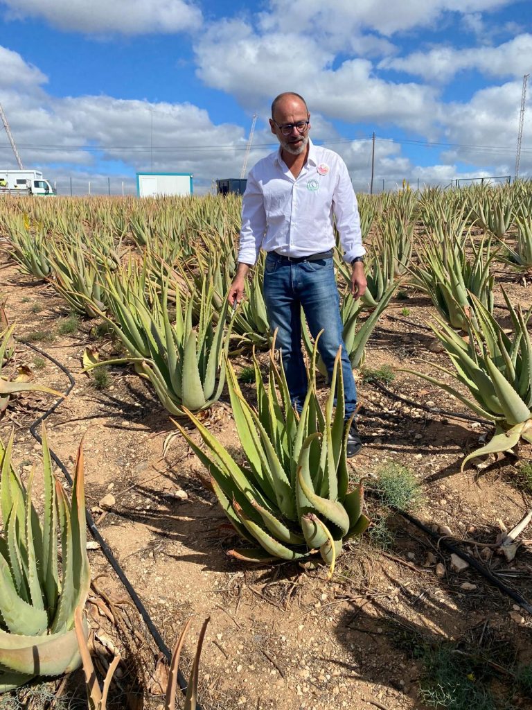 Gran Canaria Sustainable Aloe & Olive excursion