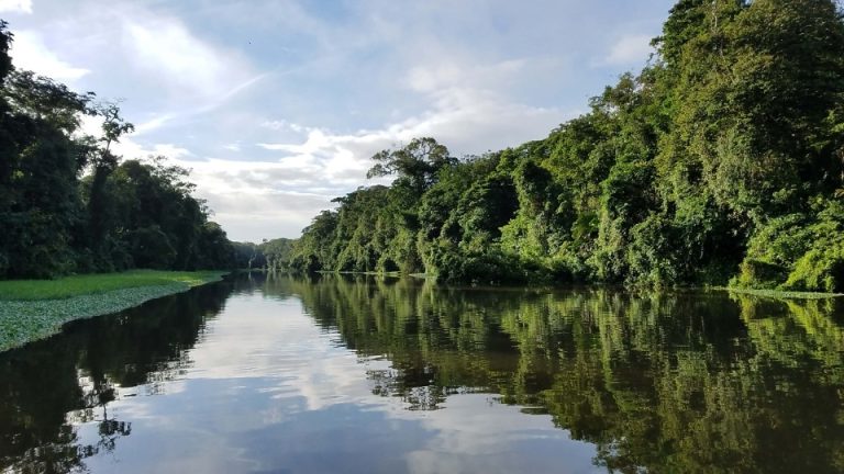 Parque Nacional Esteros de Farrapos e Islas del Rio Uruguay