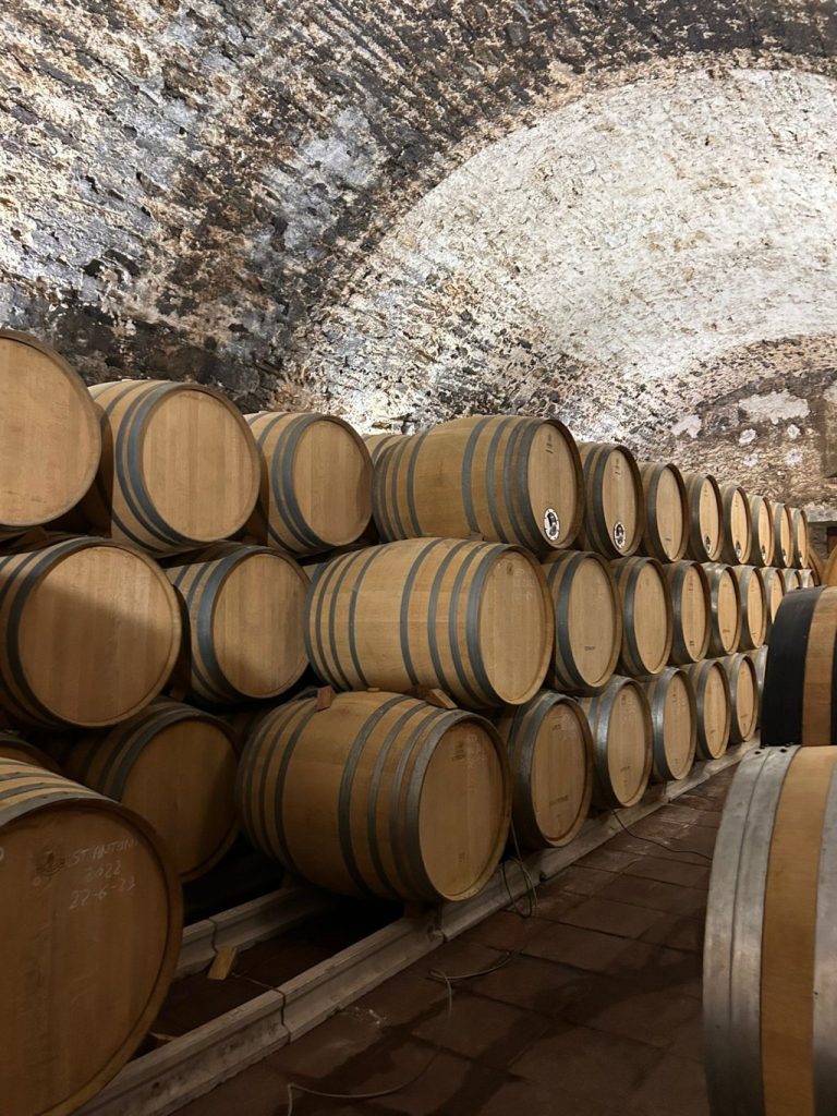 Priorat Wine Cellar