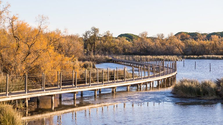 10. Riverside minicrociere, Camargue, Arles, France