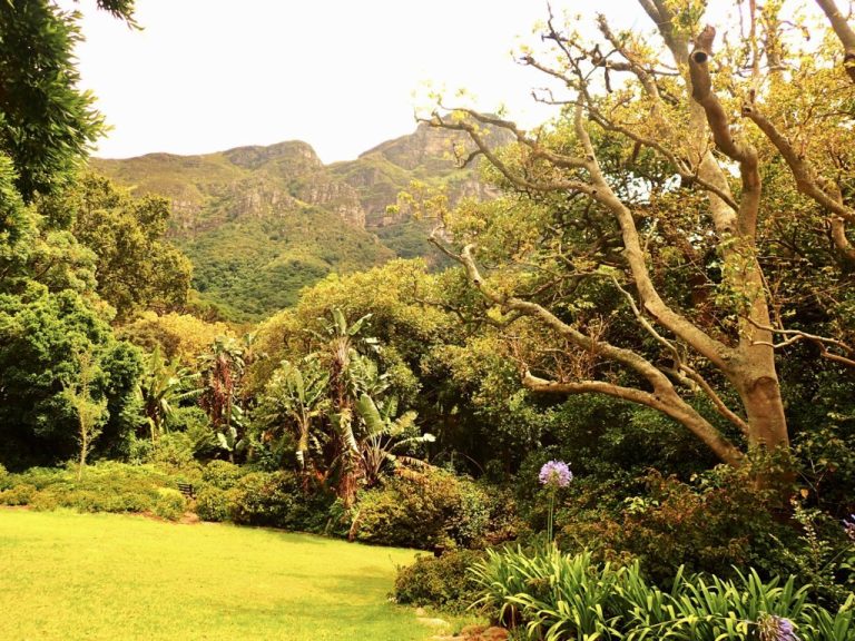 Kirstenbosch National Botanical Gardens