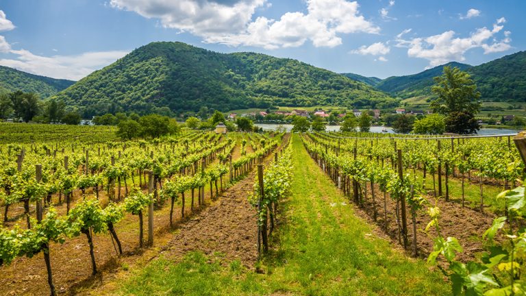 Wine chateau in Spitz, Austria