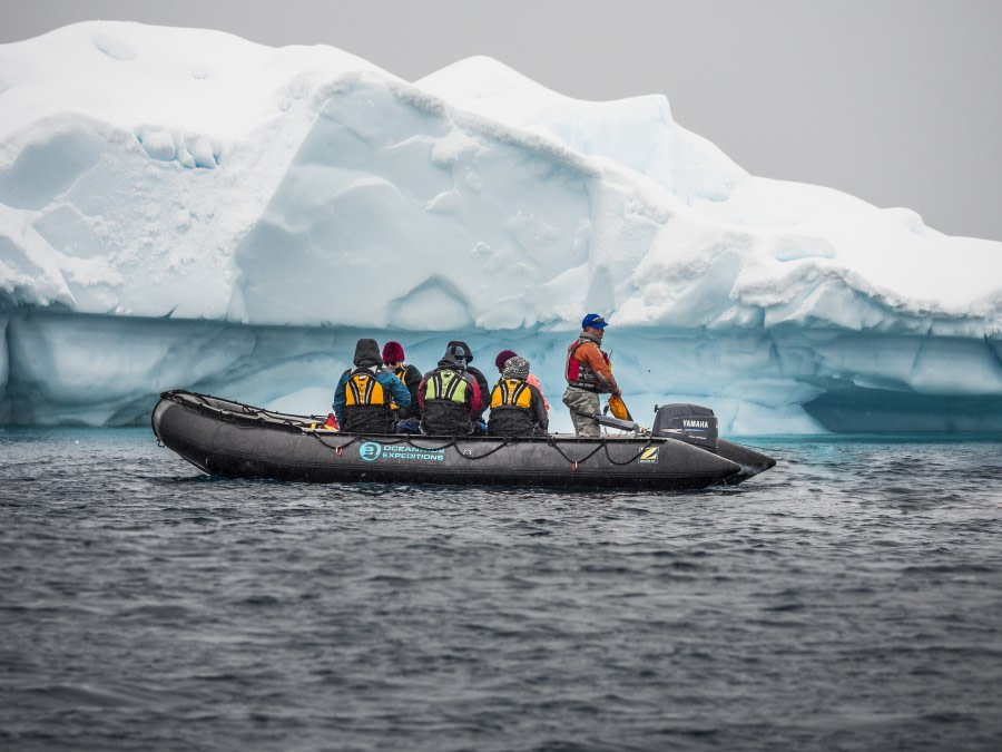 oceanwide-an-immersive-antarctic-cruise