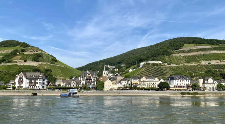 Rhine cruise 2025 (3)