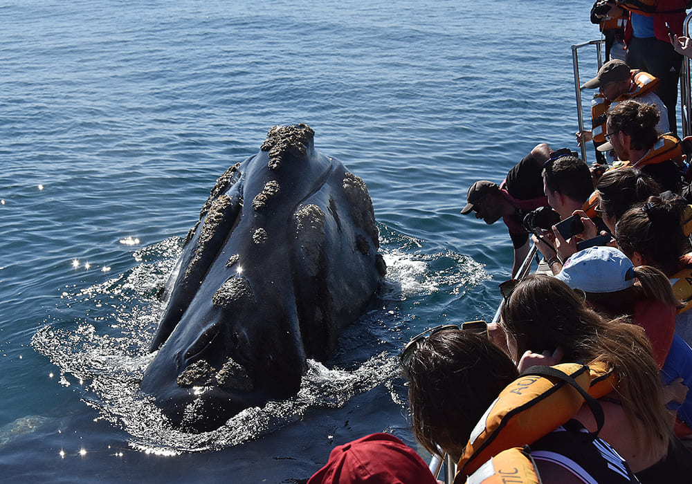 patagonia-emocoes-e-natureza-com-a-larsen-tour