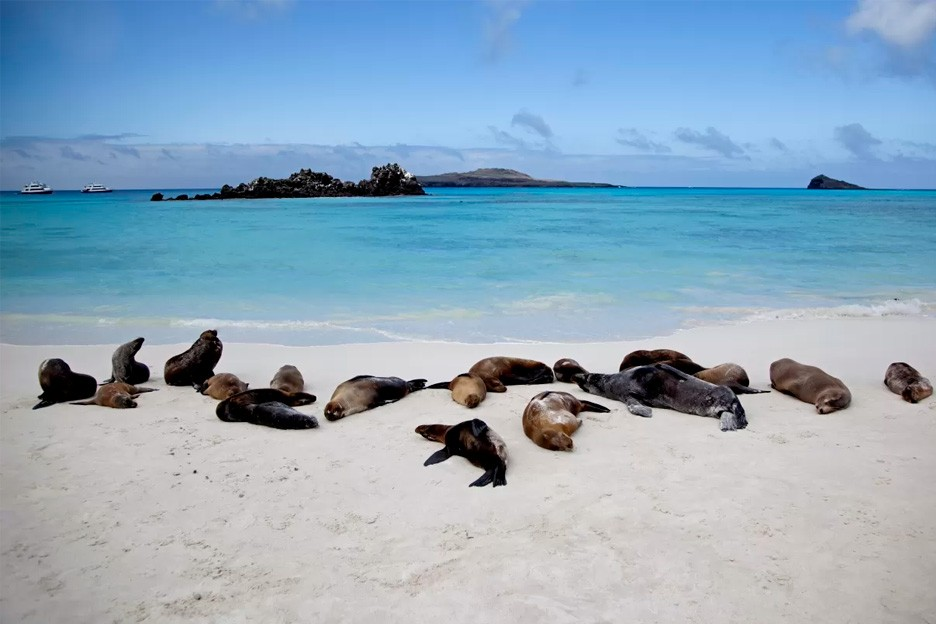 visiting-galapagos-tour-durch-faszinierende-inseln