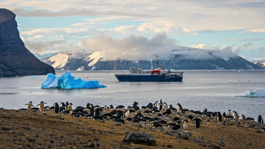 Why book a cruise with Oceanwide Expeditions?