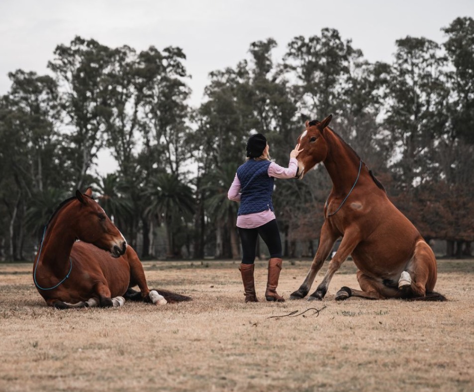 de-passeios-a-travers-traditions-et-culture-argentine