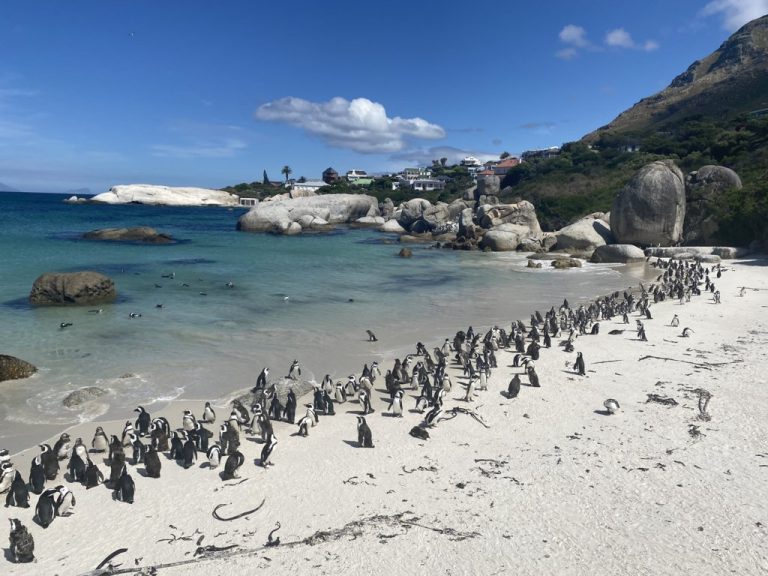 Boulders Beach