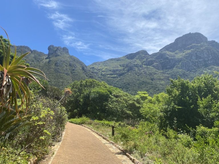 Giardino Nazionale di Kirstenbosch