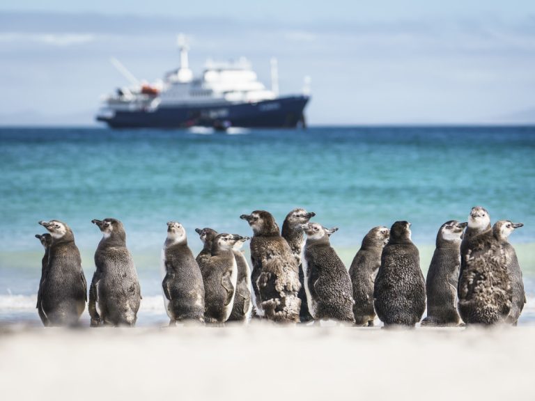 Falkland Islands