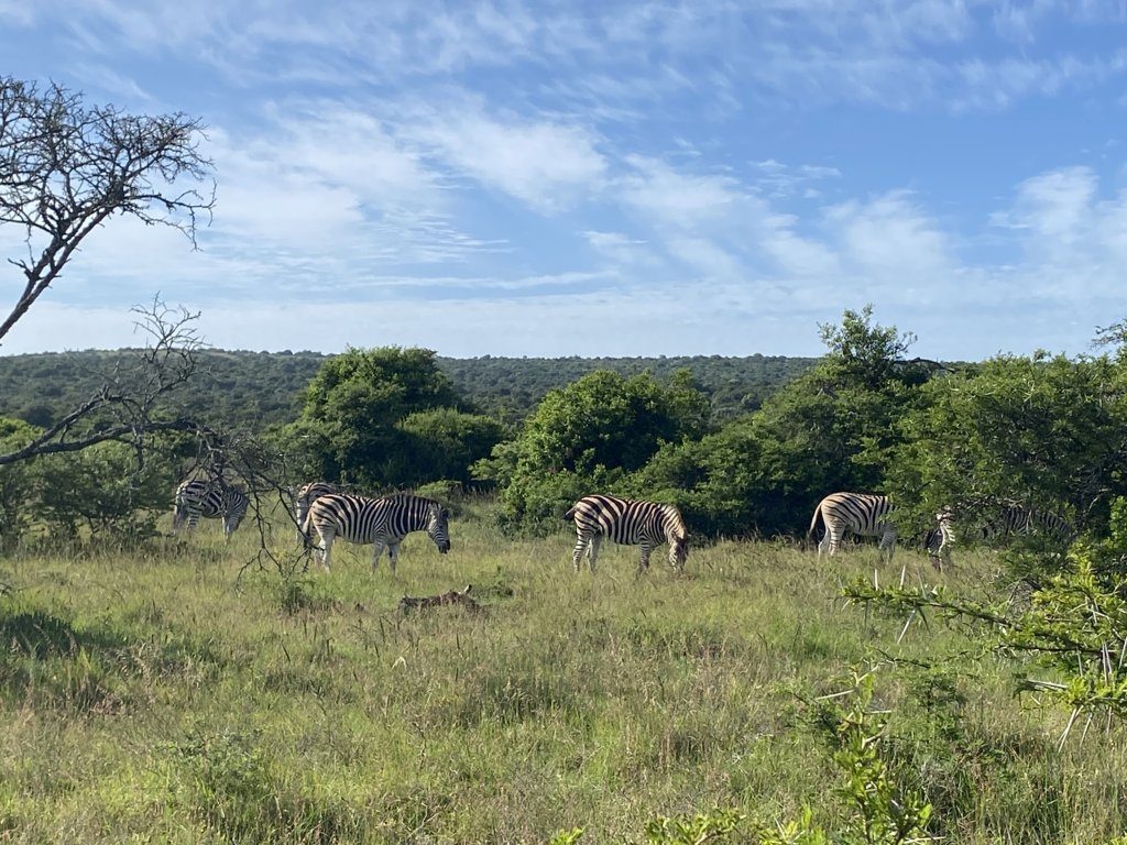 costa-smeralda-ein-einzigartiges-abenteuer-in-afrika