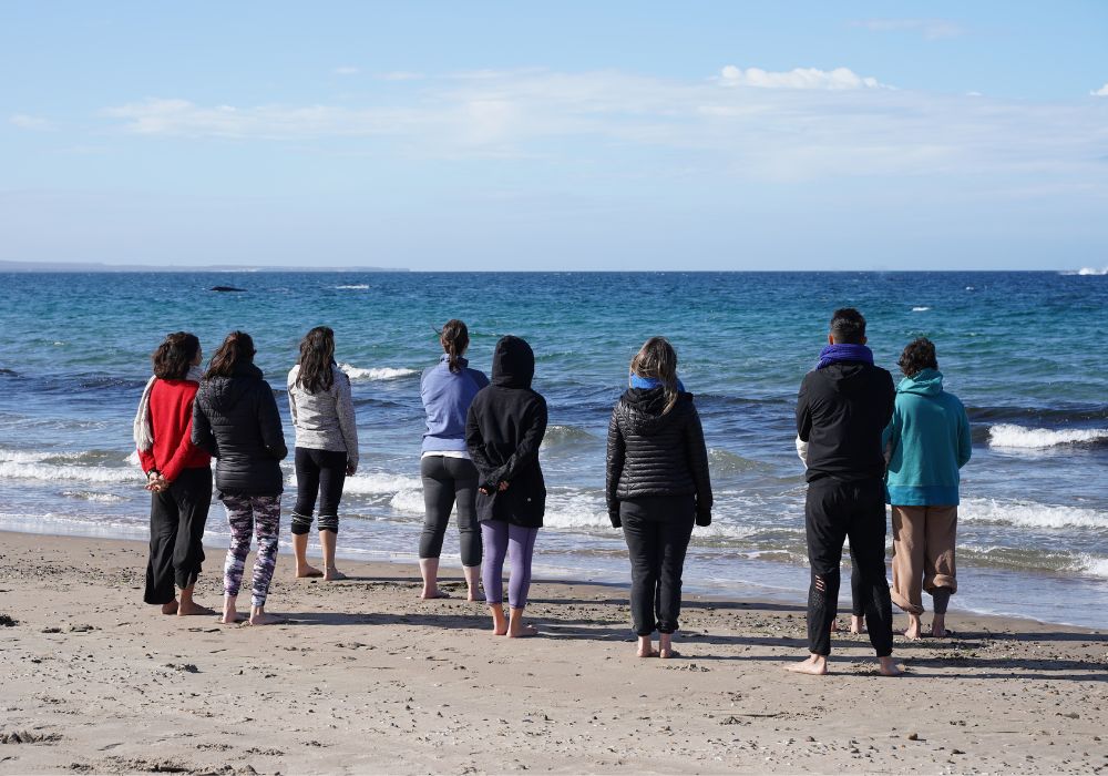 larsen-tour-yoga-among-whales-and-wild-nature