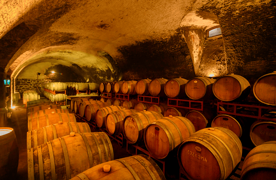 uruguay-a-tour-through-the-vineyards-of-canelones