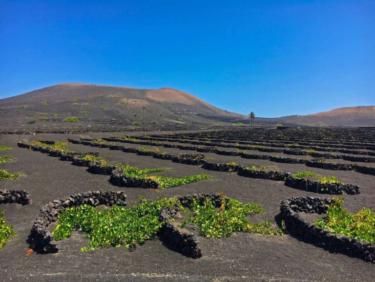 2. Volcanic Vineyard, Lanzarote