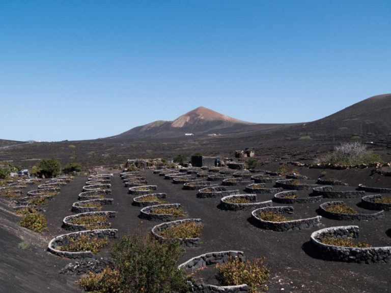 3. Volcanic Vineyard, Lanzarote