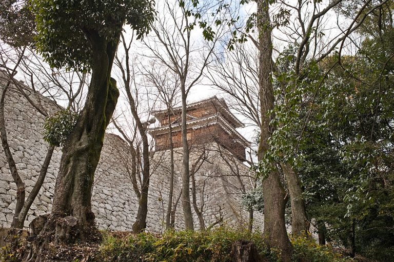 7. Matsuyama Castle, Japan