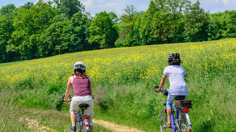 Greins Natural Charms by Bike