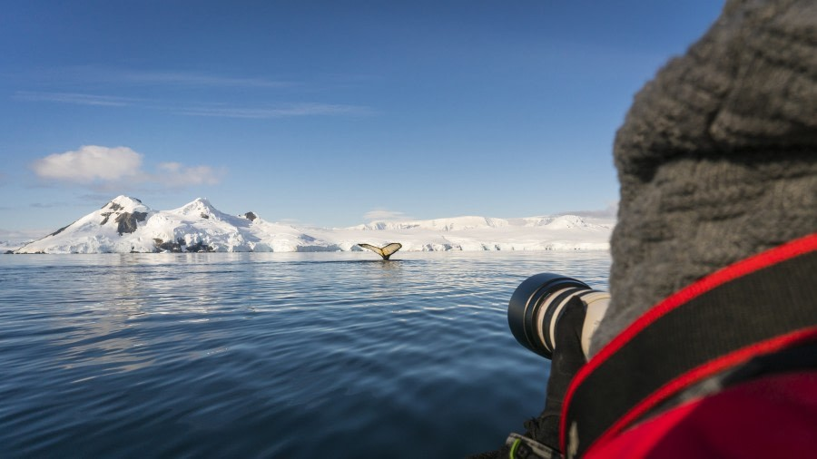 cattura-la-magia-del-mondo-con-oceanwide-expeditions