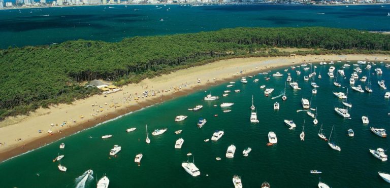 Gorriti island - Punta del este