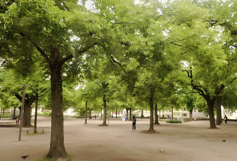 Lindenhof Park - Old Town Altstdt (1)