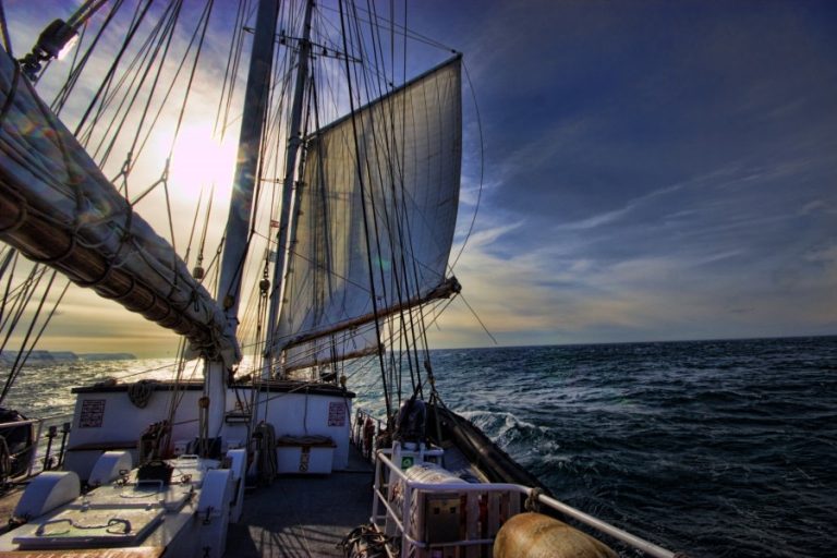 Rembrandt Van Rijn by Oceanwide Expedition 2