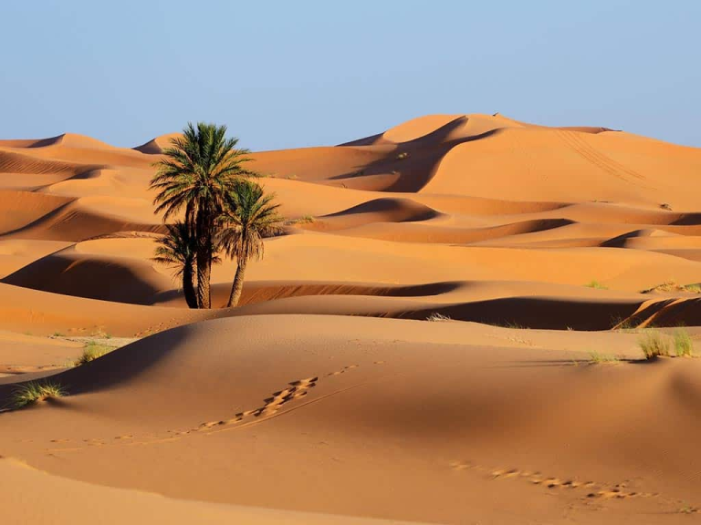 Desert