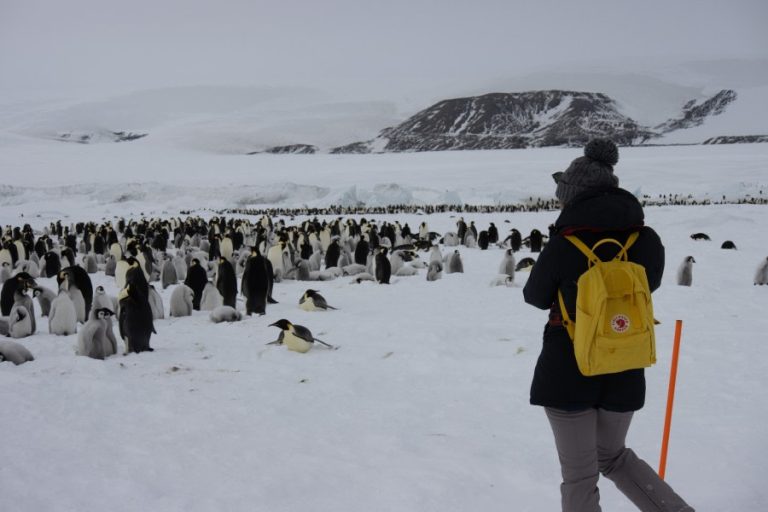 Snow-Hill-Island_Antarctica-WeddellSea_Credit Alexandra den Dikke