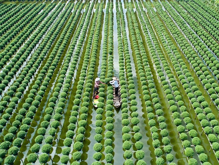 Sourcing Sustainably