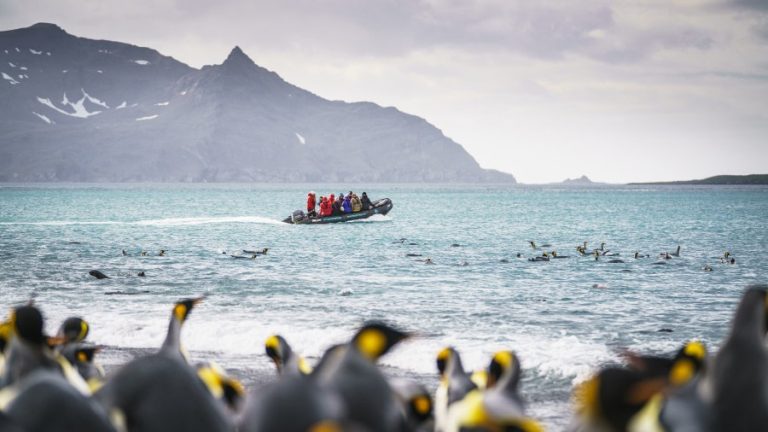 South Georgia Credit Fotografie Dietmar Denger