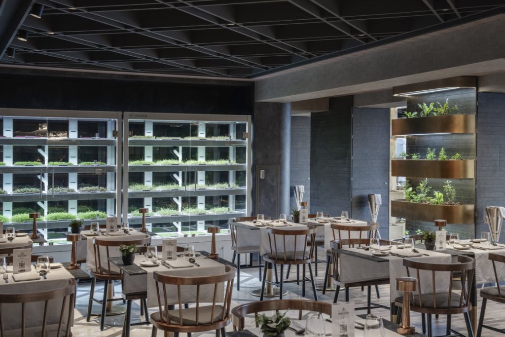 the-evolution-of-cruise-ship-dining