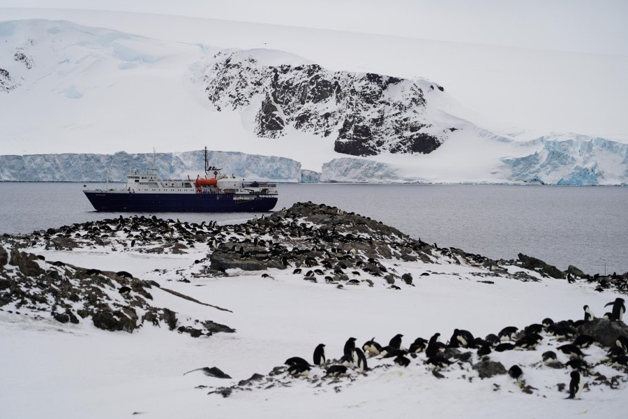 the-magic-of-the-weddell-sea-with-oceanwide