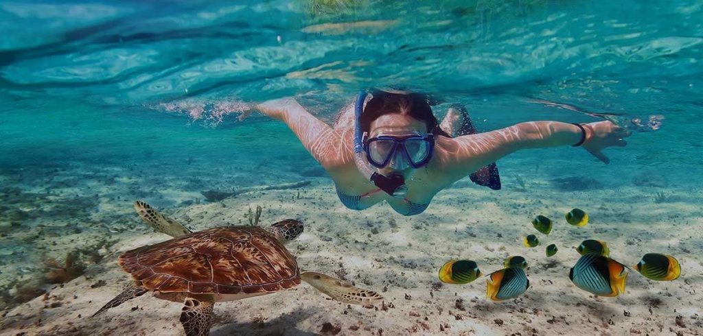 venture-ashore-tour-personalizzati-ed-eco-friendly
