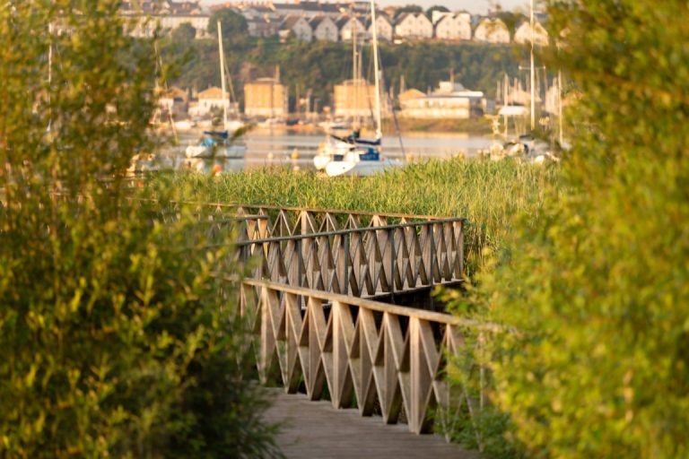 Cardiff Bay Wetlands Reserve