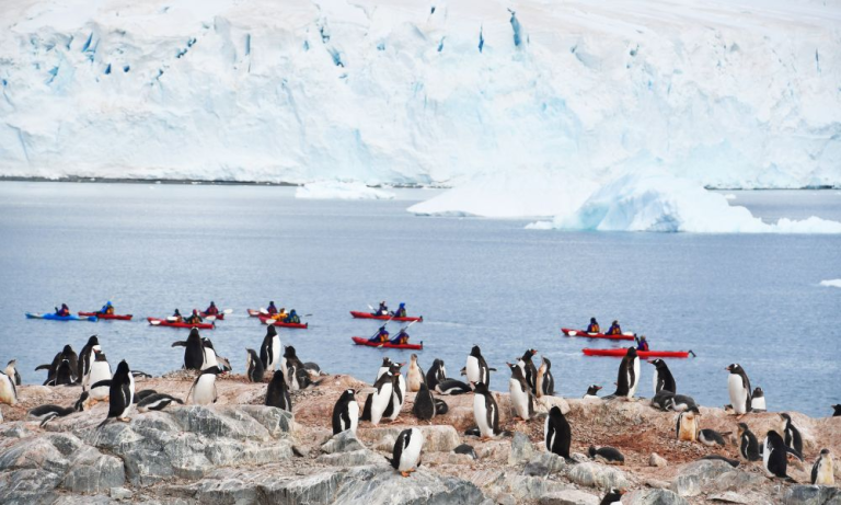 Kayaking at Cuverville Island
