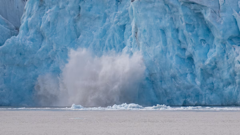 Arctic story _ ocenwide