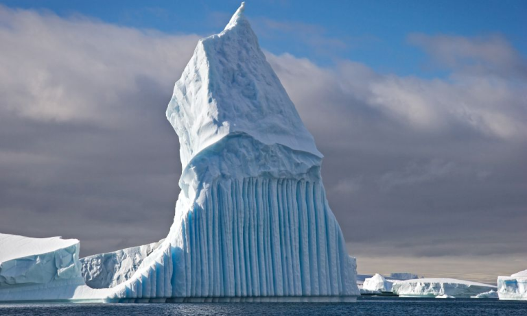 Giants of the South_Albatros expeditions