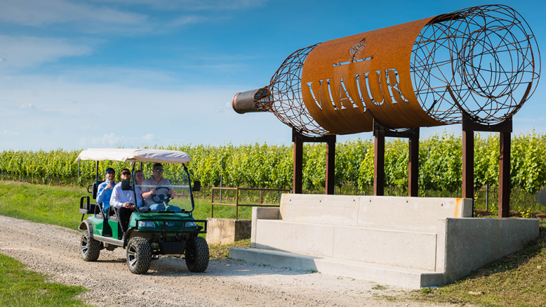 Palffy Castle With Wine & Beer Tastings_Riverside