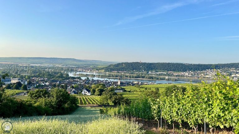 Ruedesheim_HildegardofBingenTrail
