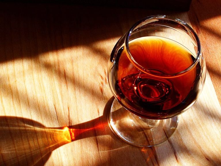 6. Castle wine tasting, Tulln, Austria 2