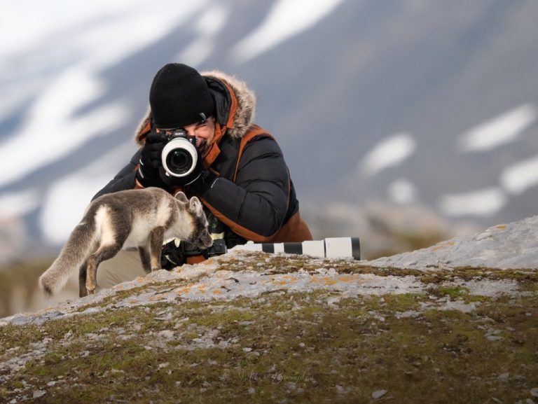 Arctic fox photographer guest, Svalbard summer by Gnalodde Mike Brampton