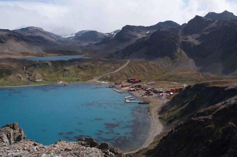 Grytviken