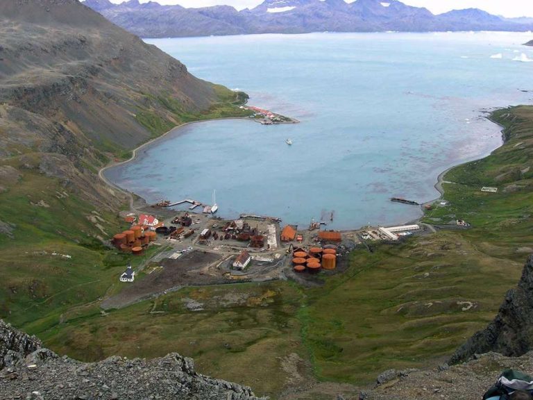Grytviken